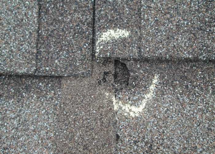 Hail-Damaged